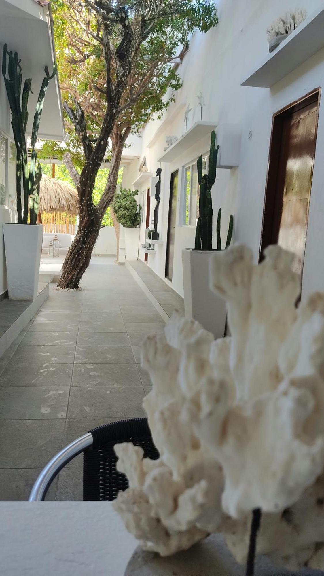 Rincon Del Mar Veleros Hotel San Onofre Dış mekan fotoğraf